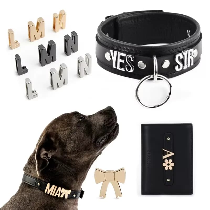 A-Z Slider Letter Charms - Personalized Alphabet Pendants for Pet, front view