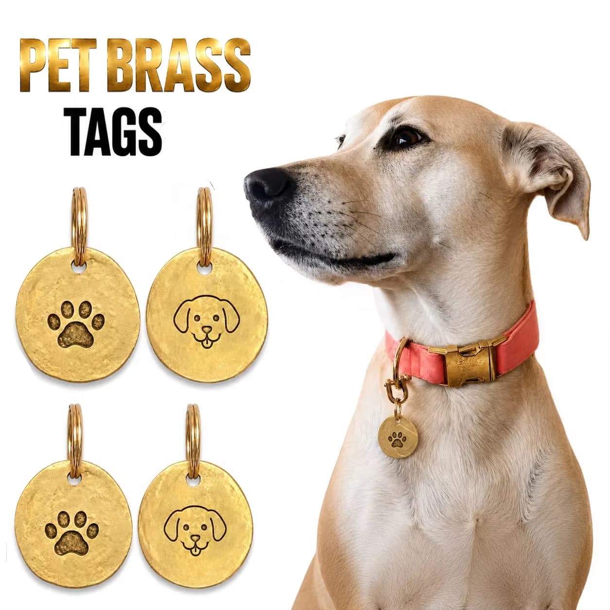Custom Designed Round Brass Pet Label Tag Bone Shape Cut Out Brand Metal Name ID, front view